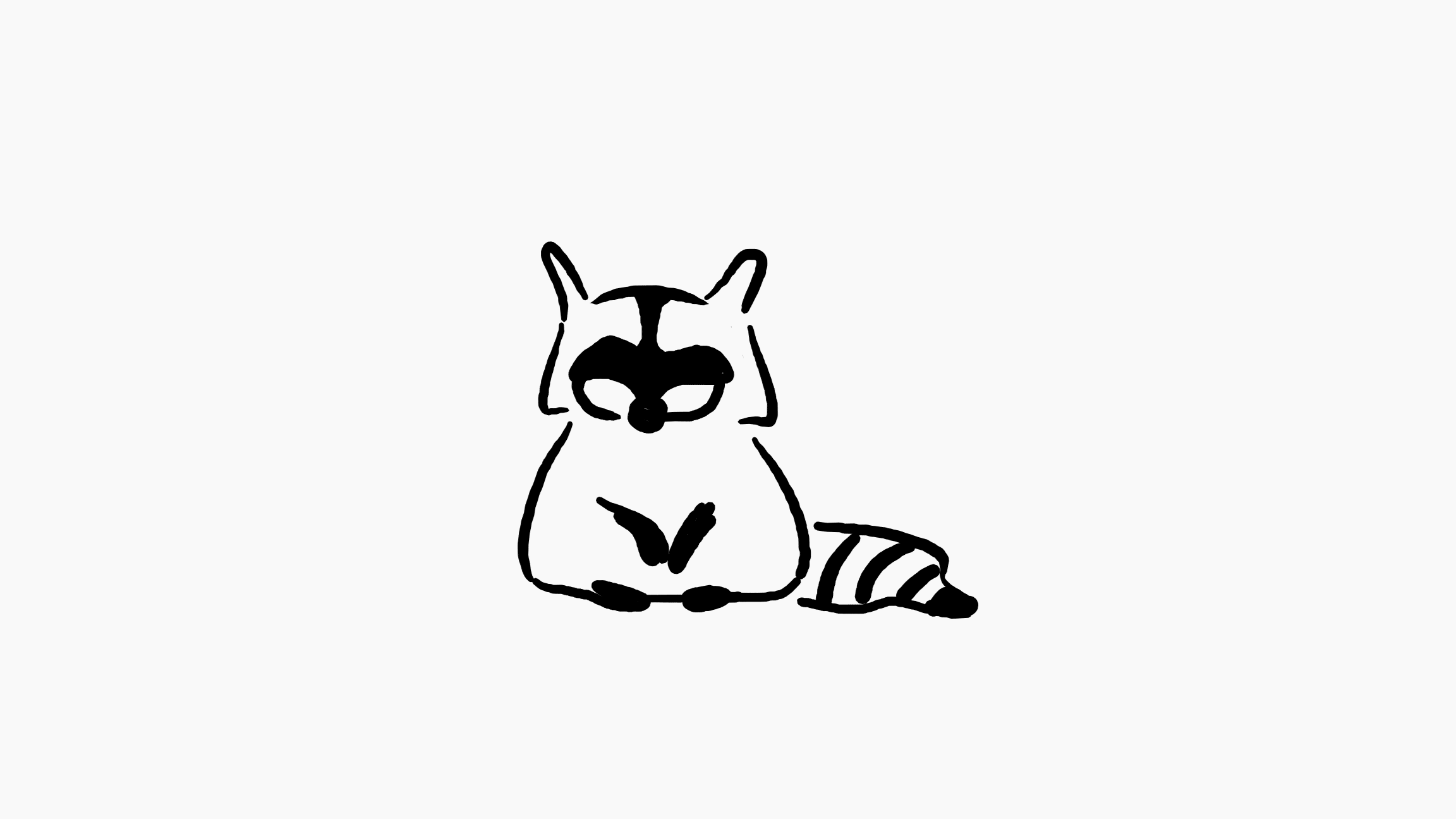 Mapache